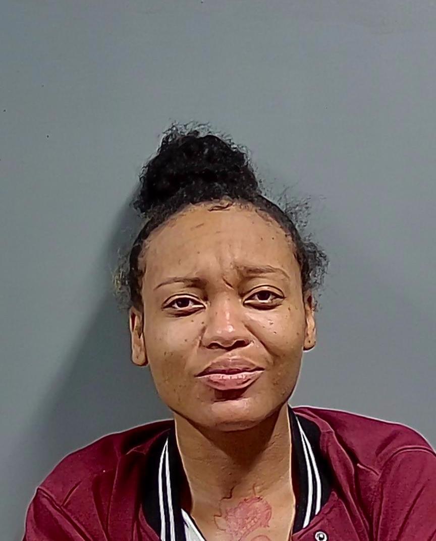 CATHERINE NICOLE CHESTNUT