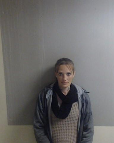 BRANDY NICOLE WARNER