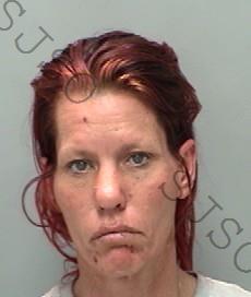 BRIDGETTE LEE ERSKINE