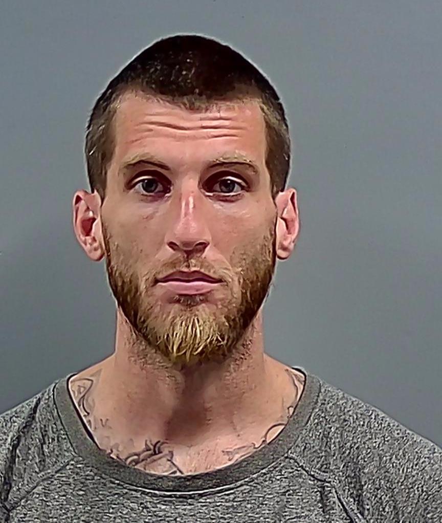MICHAEL ALLEN LEE ROBINSON