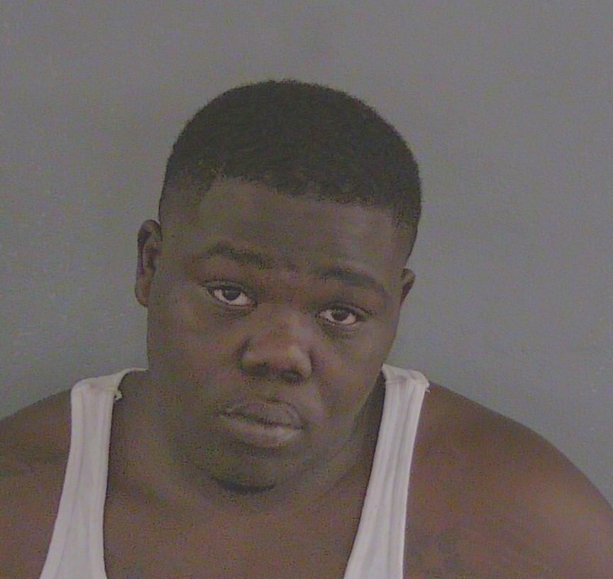 MARIO LORENZO FARMER