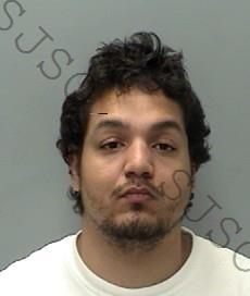 LOGAN GERMAIN FLORES