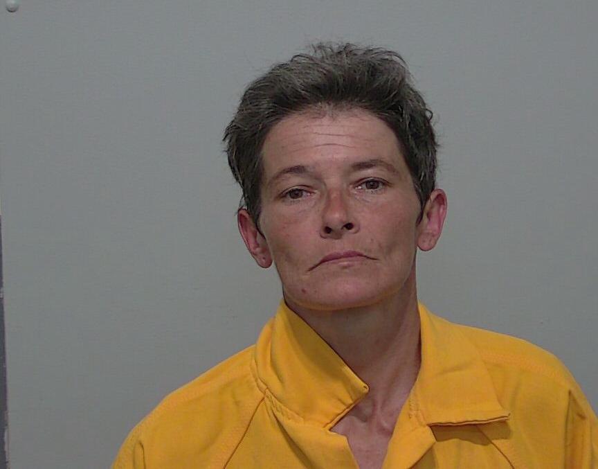 BRANDY LYNE DENT