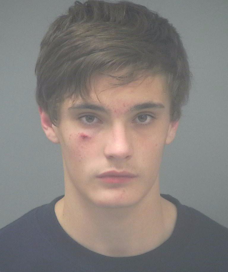 TRENT MICHAEL LEE