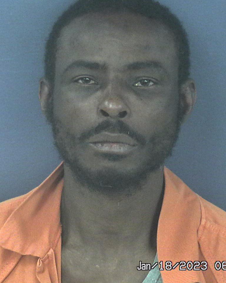 GEORGE THOMAS WILSON