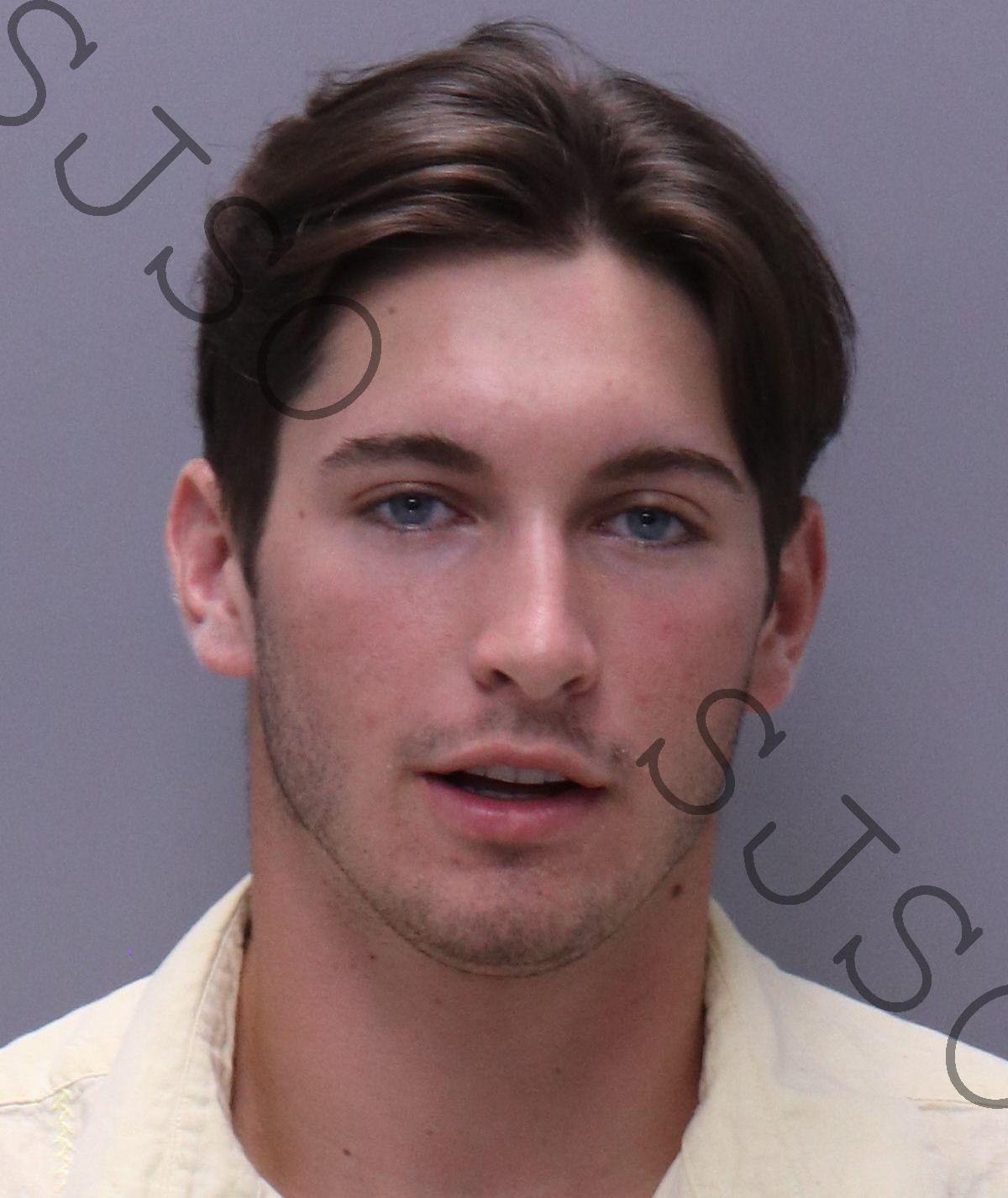 SEAN MICHAEL CARREGAL