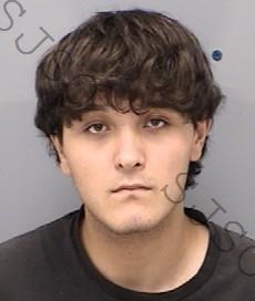 MASON COLE SAUCEDA