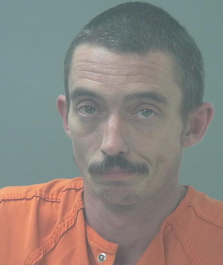 THOMAS PATRICK LAVIN