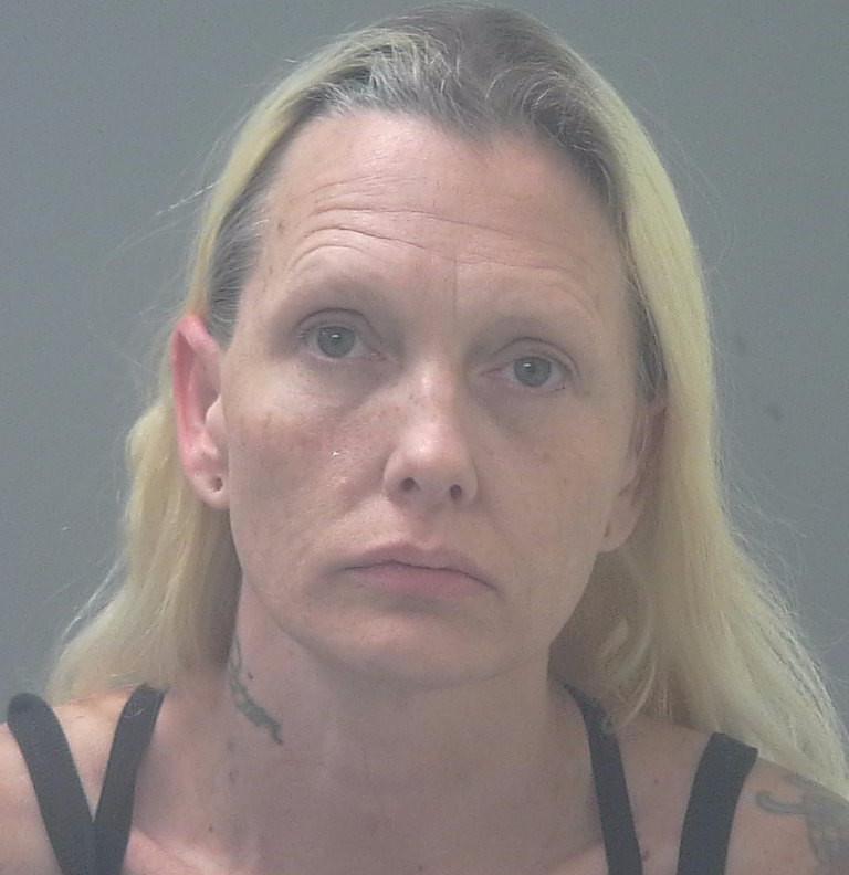 JENNIFER ANN LINK