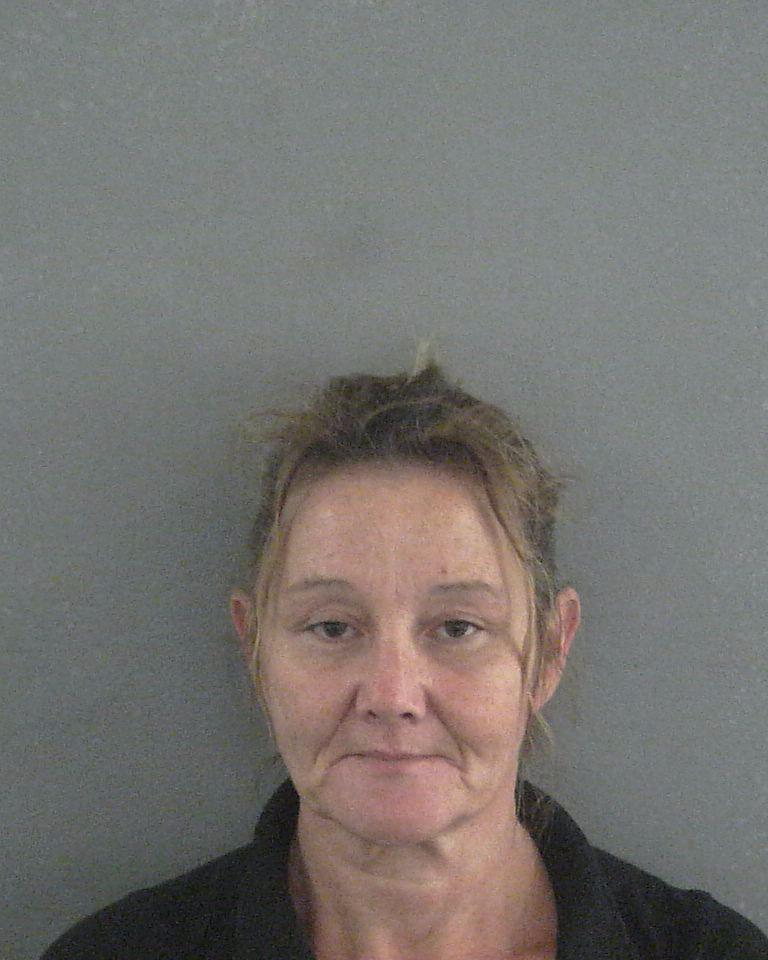 MICHELLE DAWN STARKWEATHER